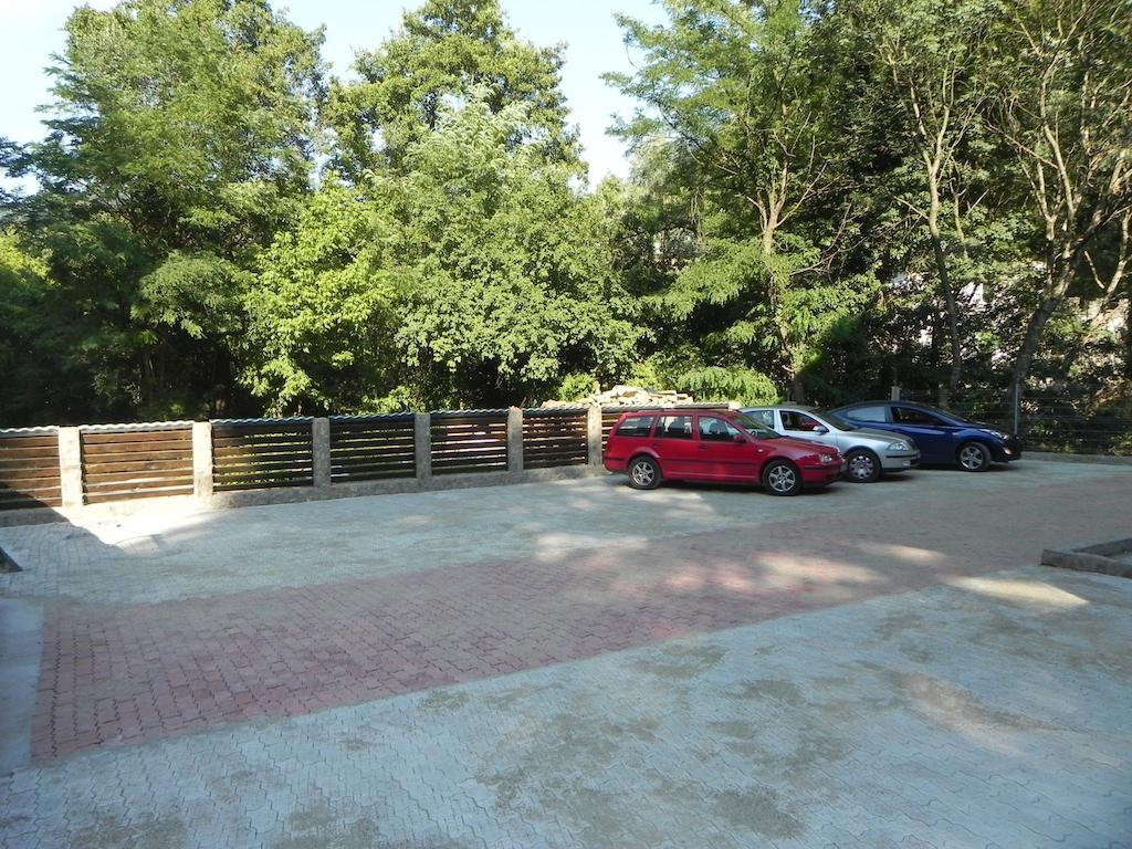 Pensiunea Iasmina Si Pescarul Călimăneşti Buitenkant foto